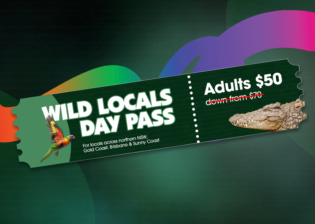 1024x730-Web-Mobile-WILD-LOCALS-DEAL.png
