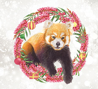 Christmas_Blog_Index_Image.jpg